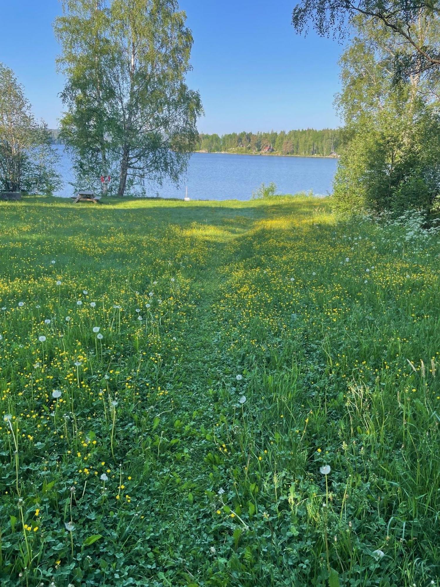 Brunnsvik Hotell & Konferens Ludvika Kültér fotó